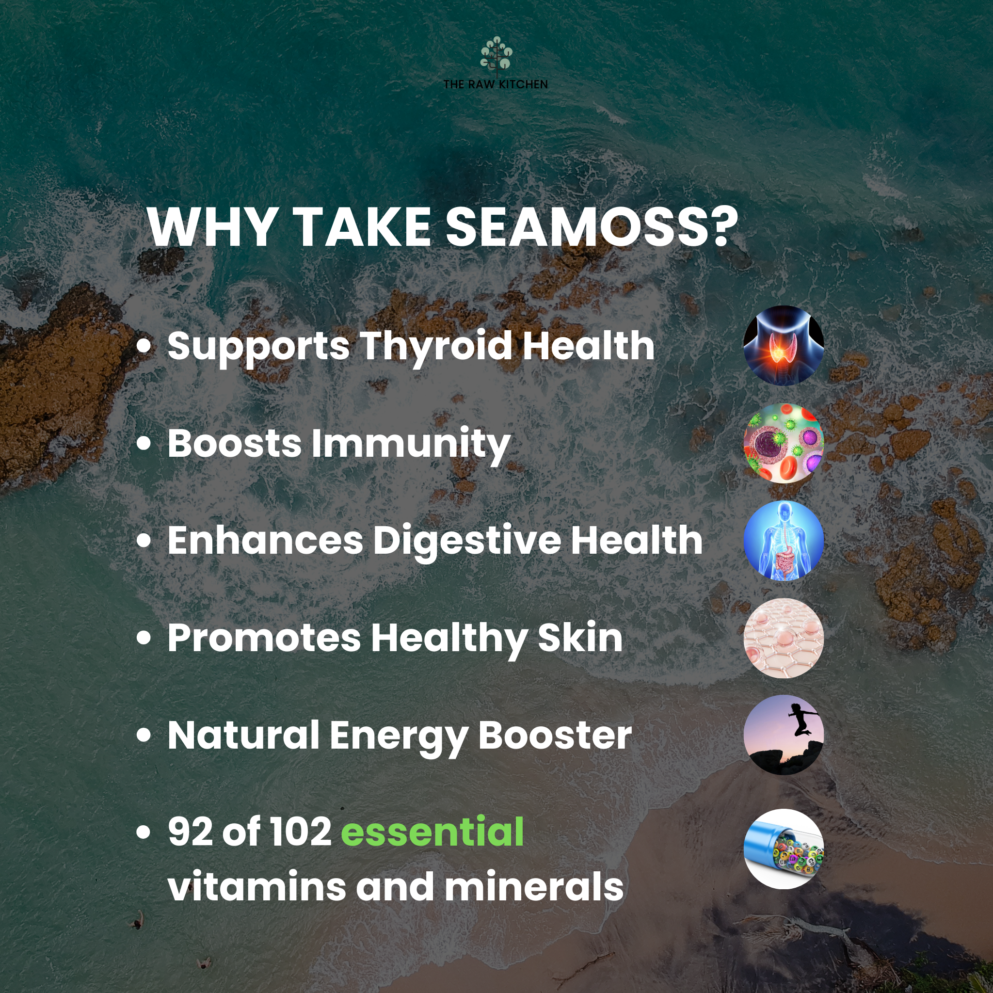 An infographic listing the benefits of taking seamoss, including thyroid support, boosted immunity, and its 92 essential minerals - The Raw Kitchen UK.