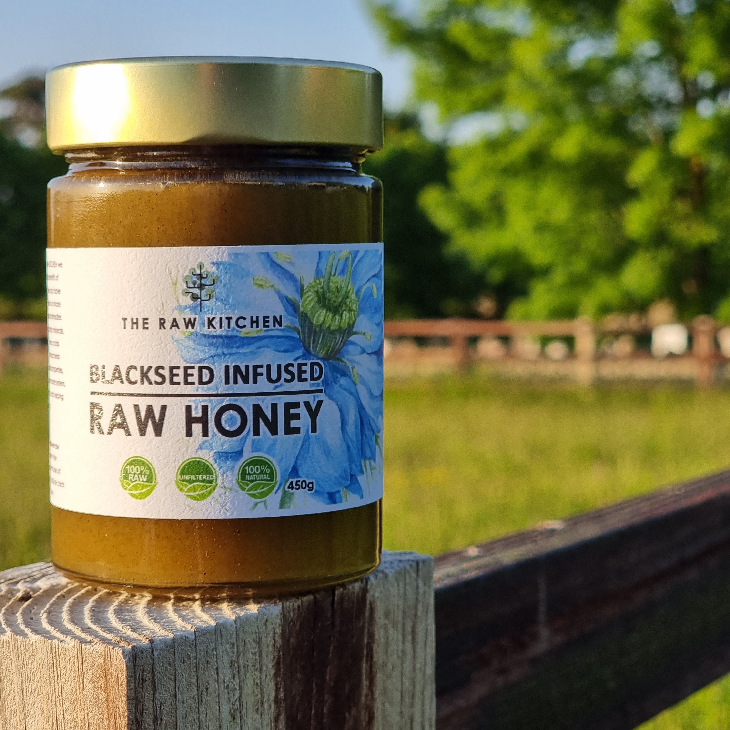 A 450g glass jar of Blackseed infused Raw Honey with a gold lid and branded label placed on a fence in a park - The Raw Kitchen UK.