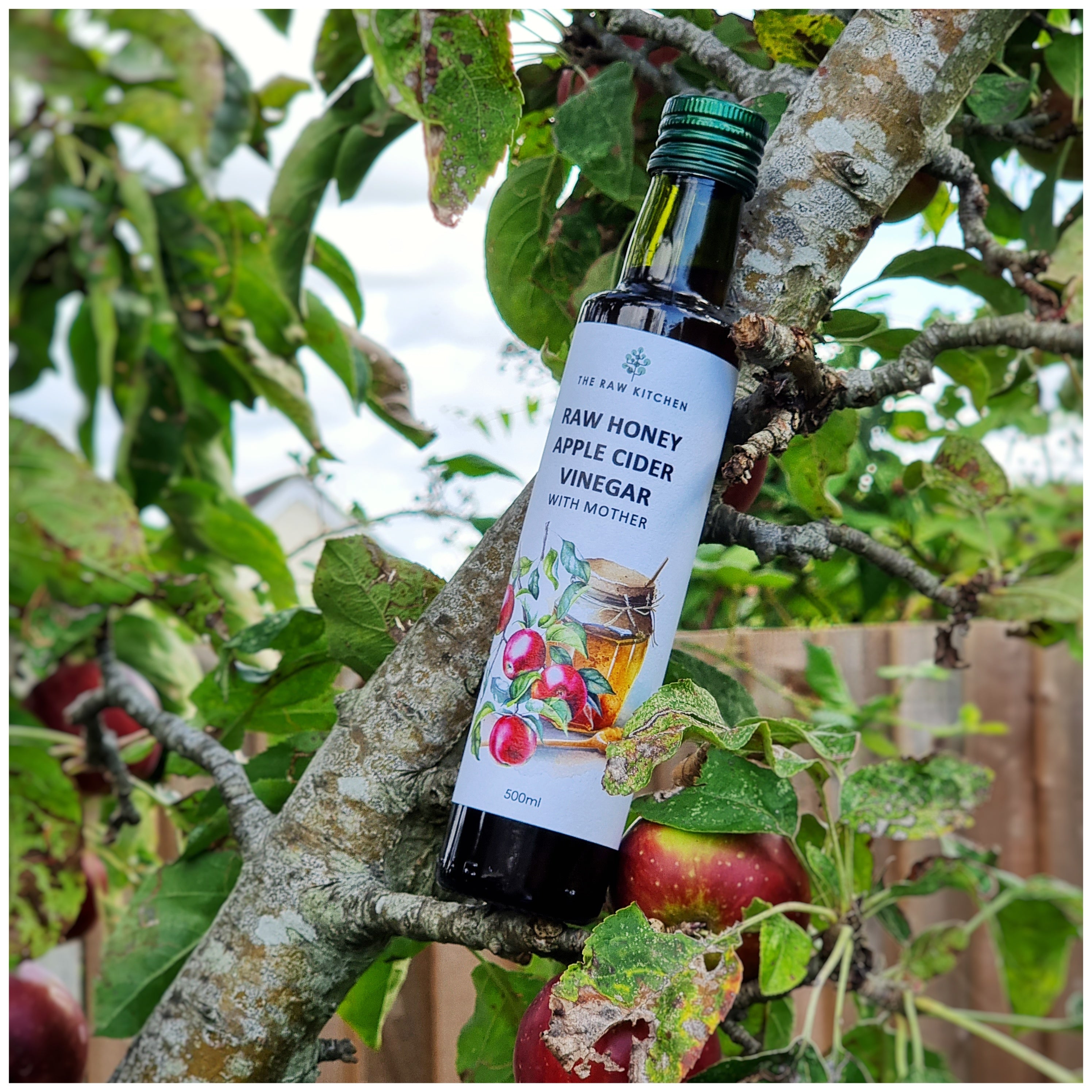A 250ml bottle of Raw Honey Apple Cider Vinegar from The Raw Kitchen UK, resting in the branches of an apple tree to highlight its natural origins.