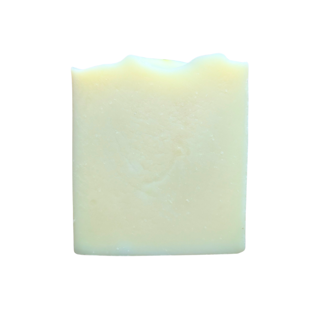 Energising Shampoo Bar | 100g | - The Raw Kitchen UK