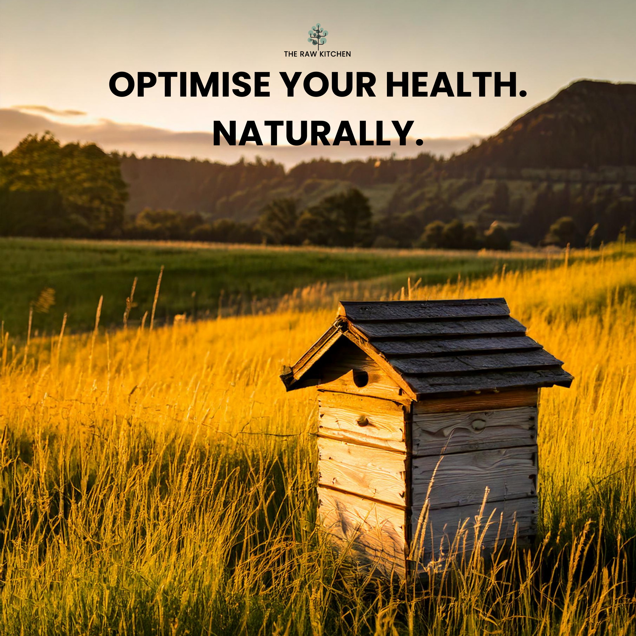 A natural wooden beehive in a golden sunlit field with the text "Optimise Your Health. Naturally." - The Raw Kitchen UK.