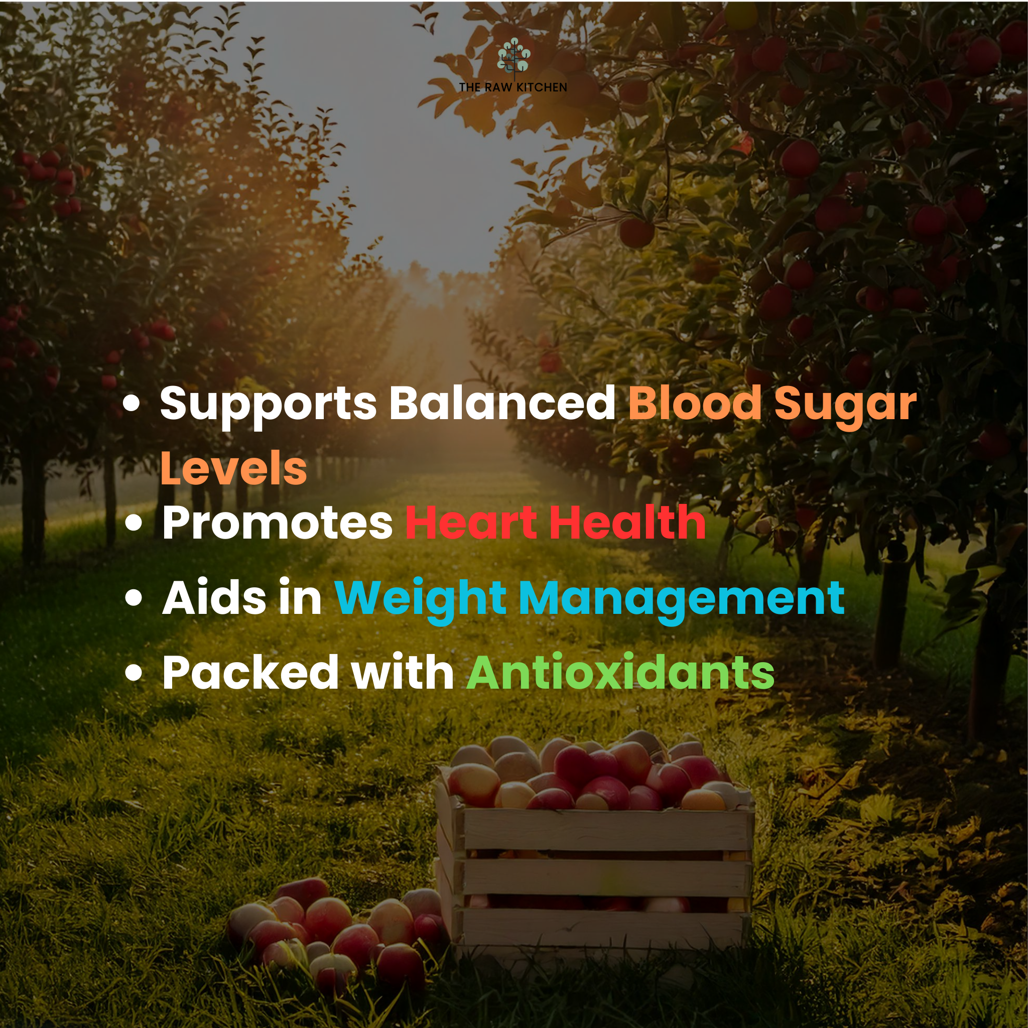 An infographic showing the health benefits of Apple Cider Vinegar, including supporting balanced blood sugar, promoting heart health, and aiding weight management - The Raw Kitchen UK.