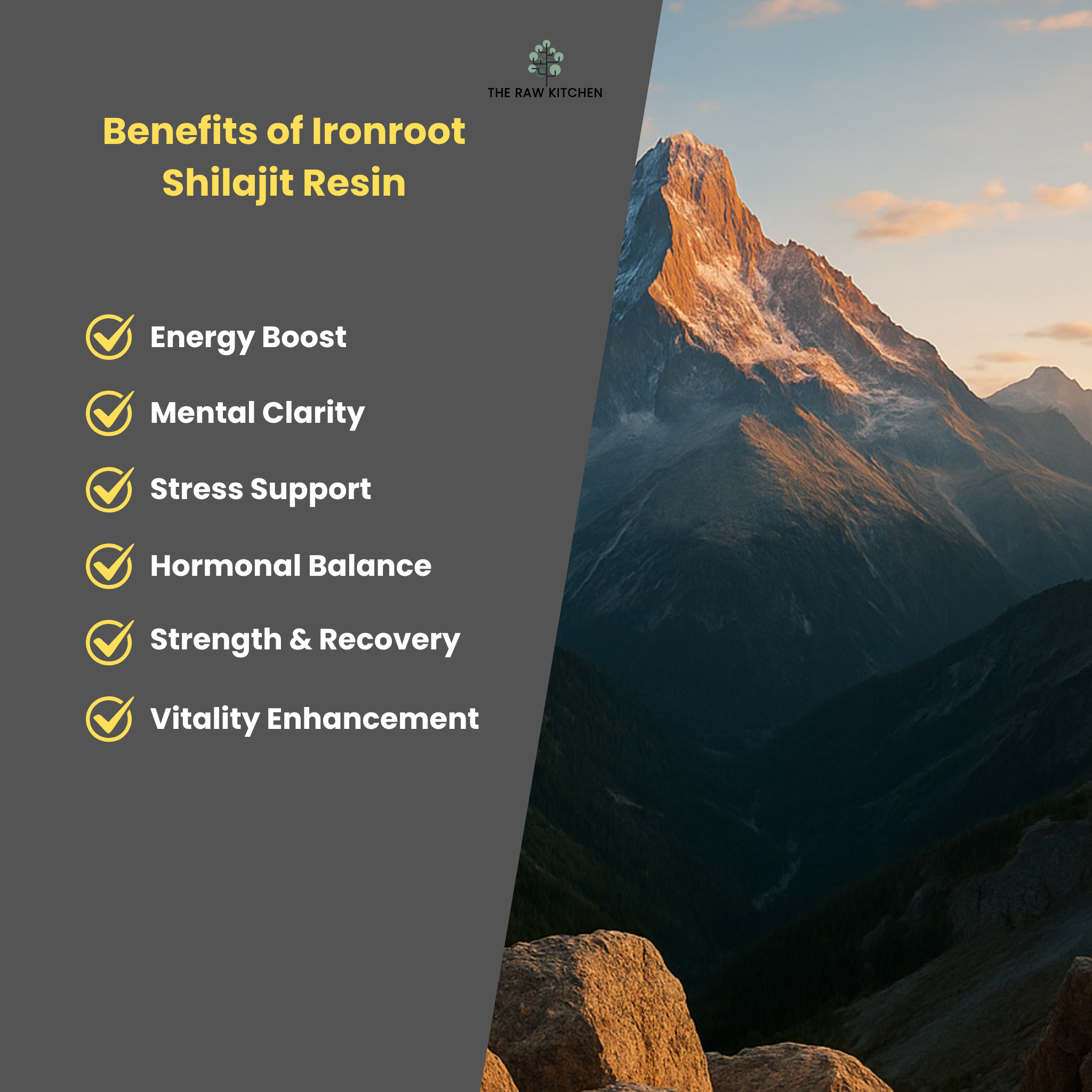 An infographic showing the benefits of Ironroot Shilajit Resin, including energy boost, mental clarity, and stress support - The Raw Kitchen UK.