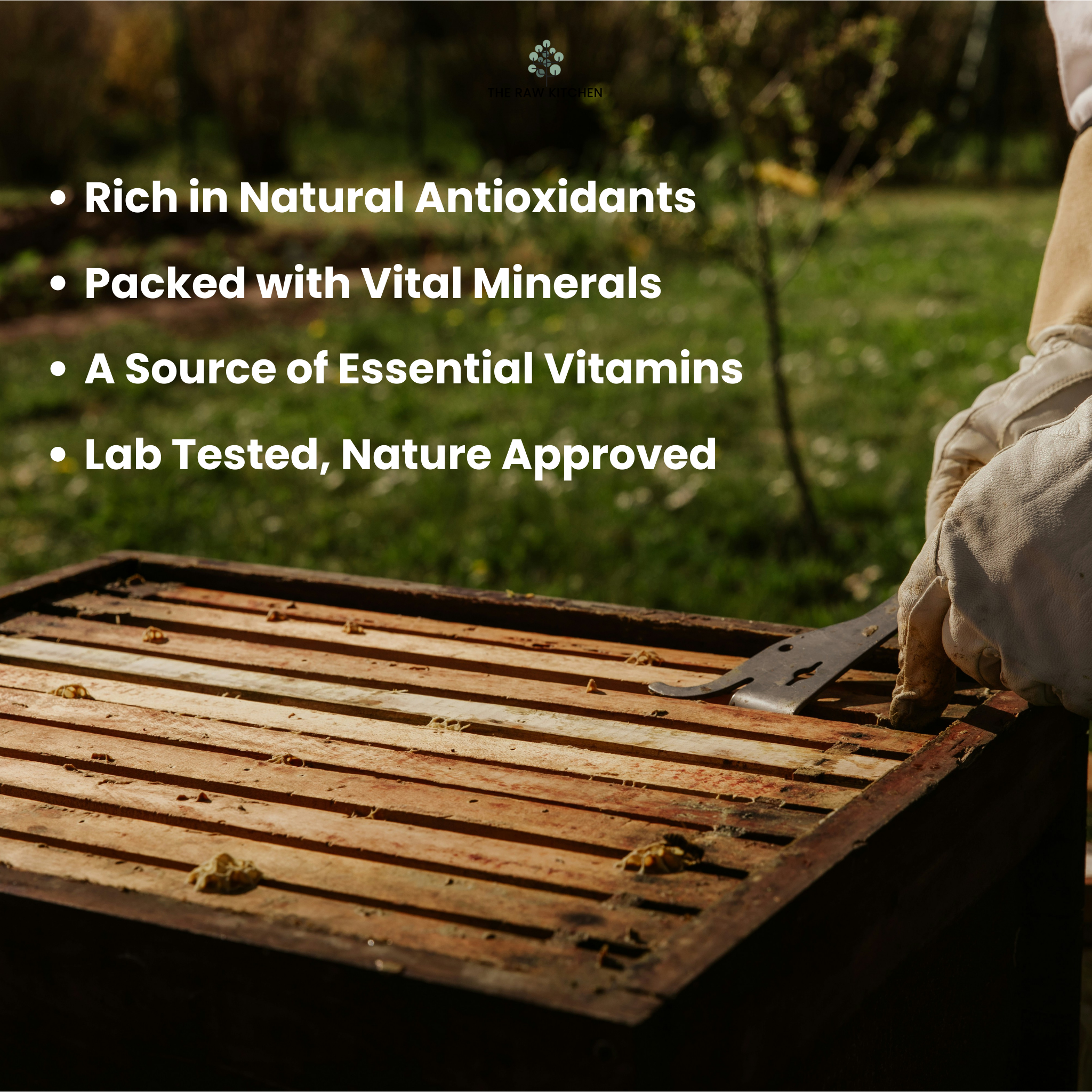 A beekeeper tending to a hive, with text highlighting the benefits of raw honey from The Raw Kitchen UK: rich in antioxidants, packed with minerals, and lab-tested for quality.