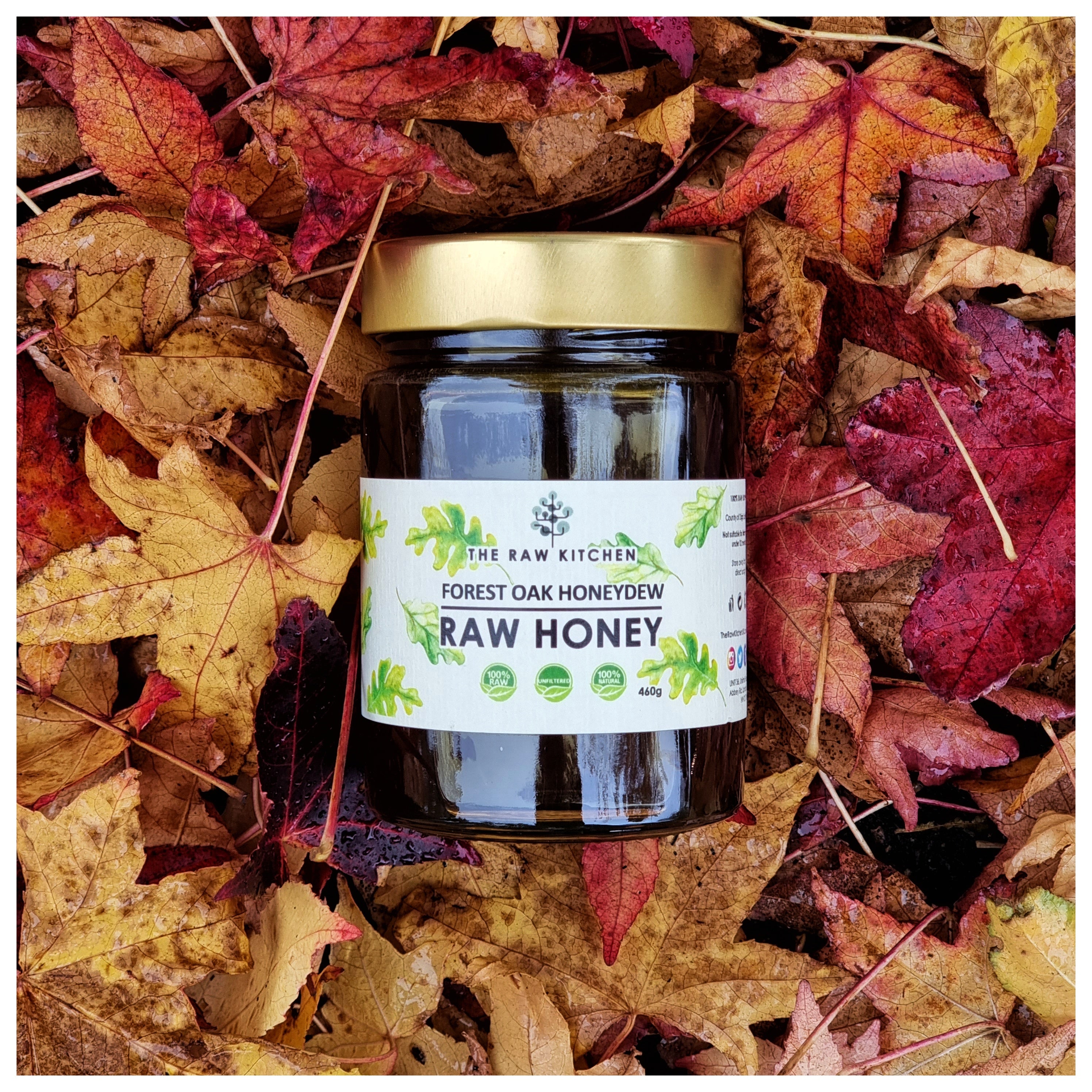 A 450g glass jar of Forest Oak Honeydew Raw Honey with a gold lid and branded label placed in a bed of orange and red leaves - The Raw Kitchen UK.