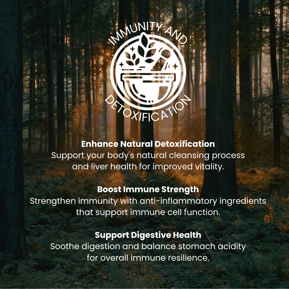 An infographic on The Raw Kitchen UK's Immunity & Detoxification health pillar, highlighting benefits like boosting immune strength and supporting digestive health.