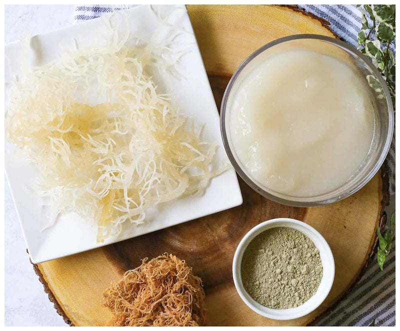 Seamoss: What is it and How is it Used for Eczema?