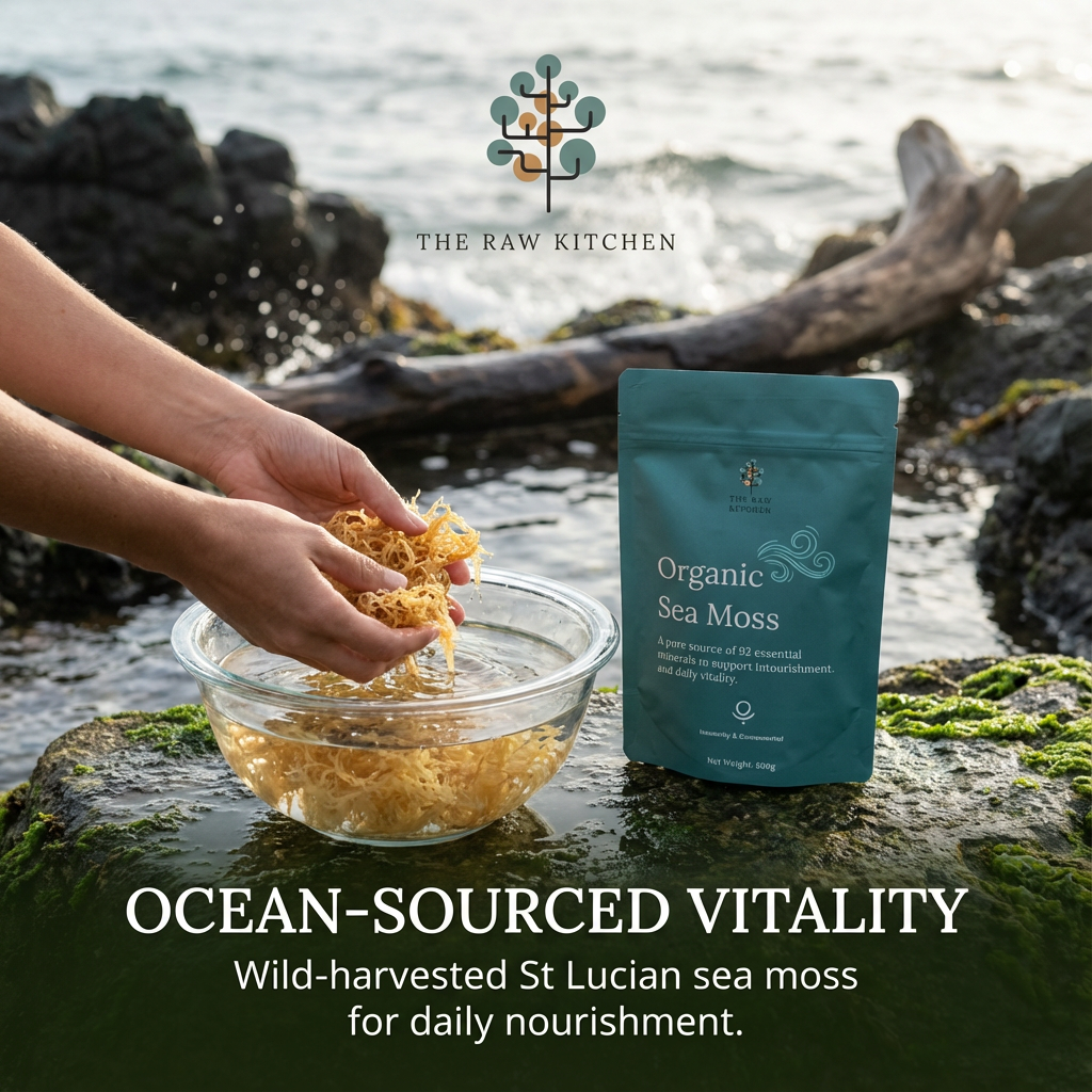 Person holding sea moss over a bowl with a package of Organic Sea Moss on a rocky shoreline.