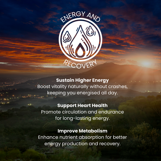 An infographic on The Raw Kitchen UK's Energy & Recovery health pillar, highlighting benefits like sustaining higher energy levels and improving metabolism.