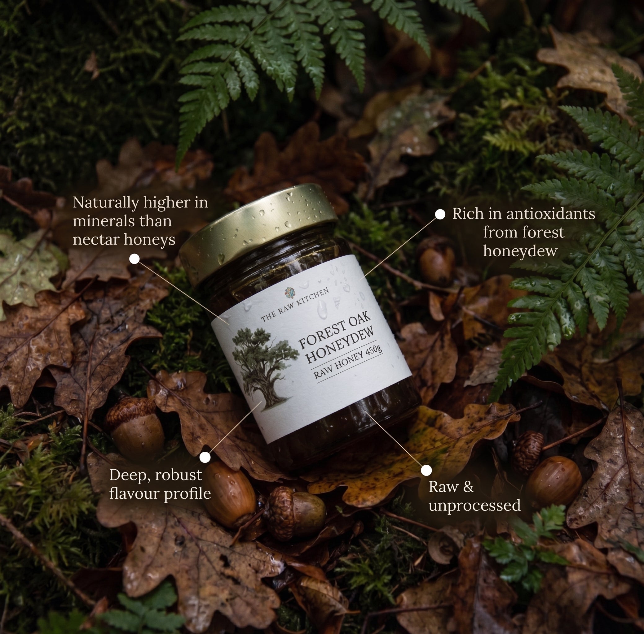 A jar of Raw Honey Dew by The Barnstone is placed on forest floor leaves and moss, surrounded by ferns and acorns. White text callouts with lines point to the jar and describe its qualities.
