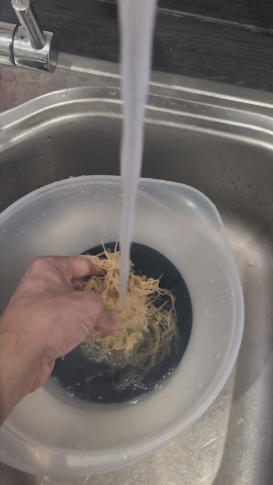Follow this simple step-by-step guide to turn your raw Organic St Lucian Seamoss from The Raw Kitchen UK into a smooth, nutrient-rich gel. Learn how to wash, soak, and blend for the perfect consistency. Shop our organic seamoss here: [Link to your seamoss product page]